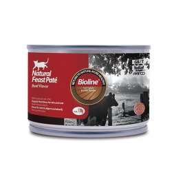 Beef Flavor
